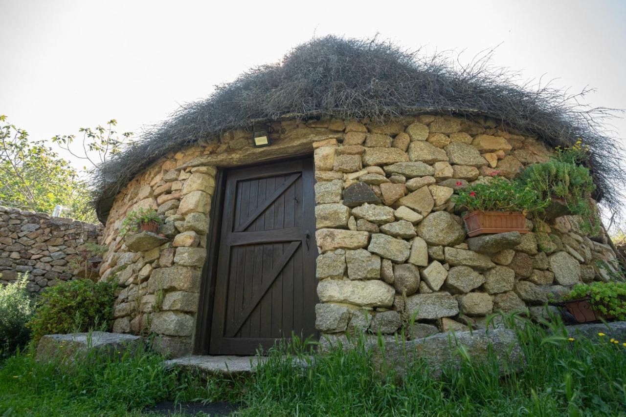 Agriturismo Testone Benetutti Dış mekan fotoğraf