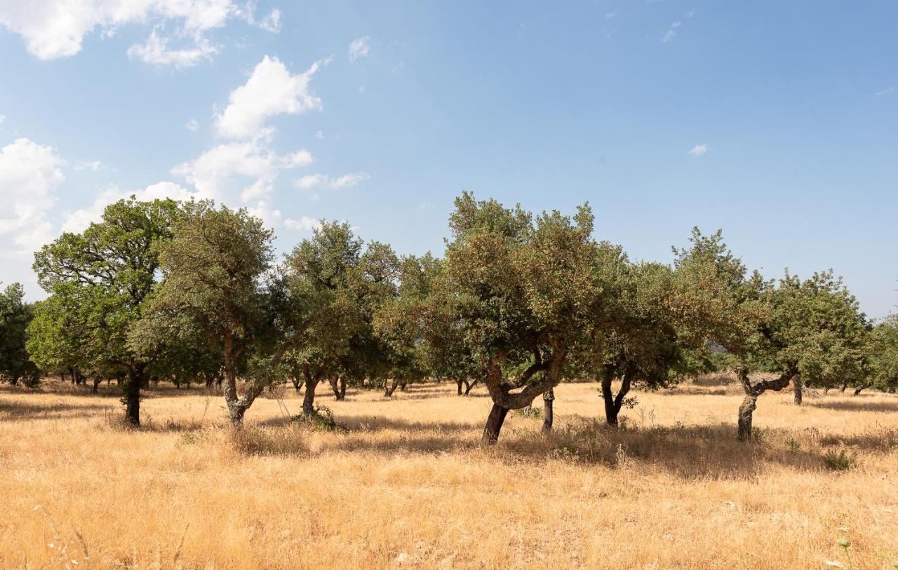 Agriturismo Testone Benetutti Dış mekan fotoğraf
