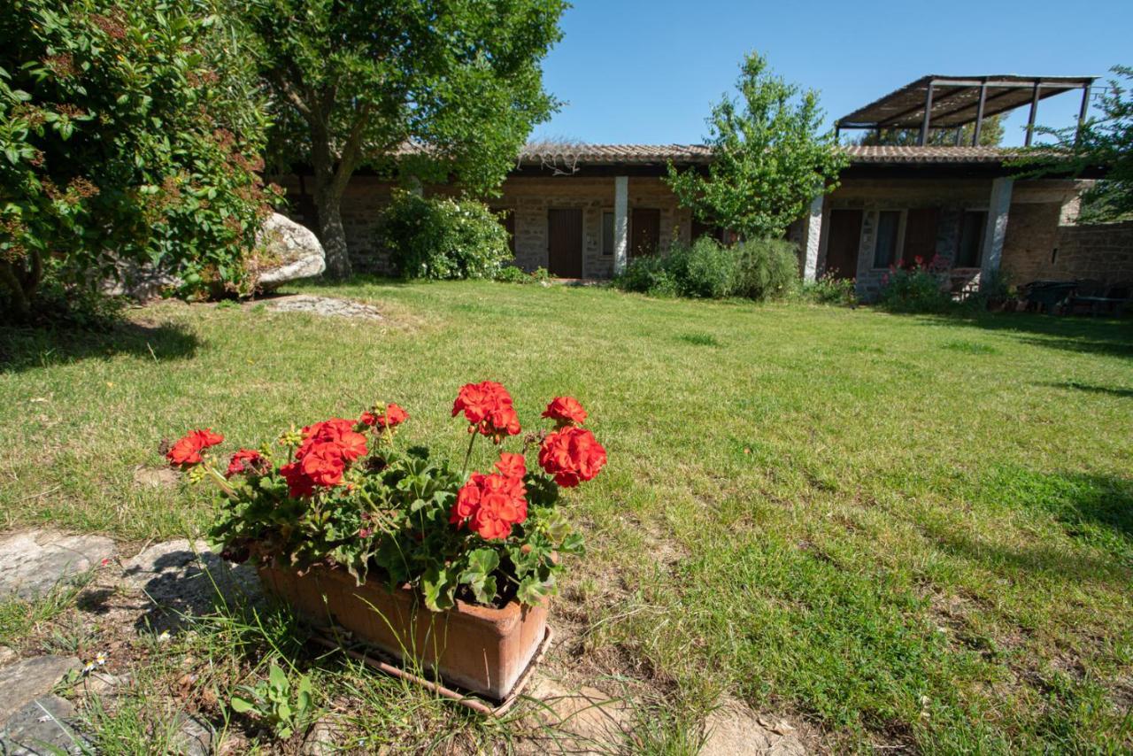 Agriturismo Testone Benetutti Dış mekan fotoğraf